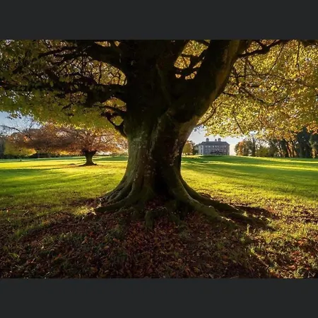 Meelin Holiday home *