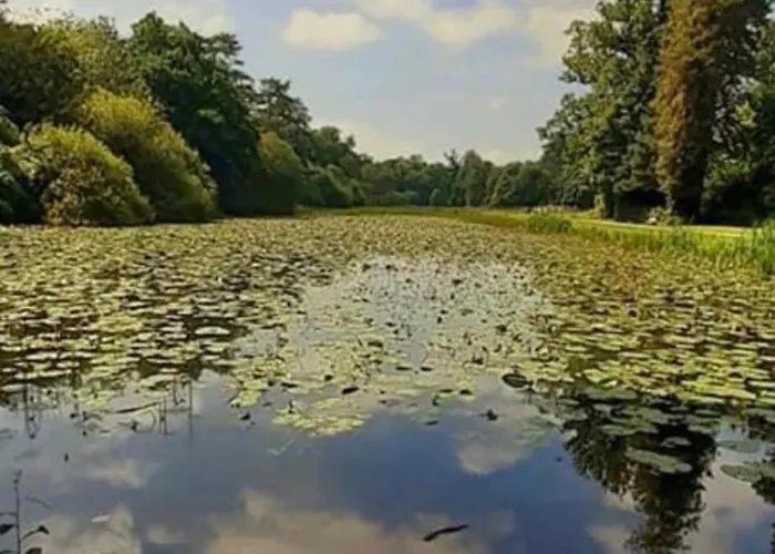 Vakantiehuis Meelin Cork